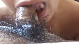 پیر و نوجوان چغندر د ...