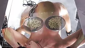 بانوان دانلود رایگان ...