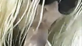 دوست پسر, نوجوان لاغ ...