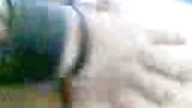 عشق به یک ورزشگاه به ...